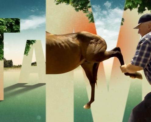 kabel eins tamme hanken opener pferd