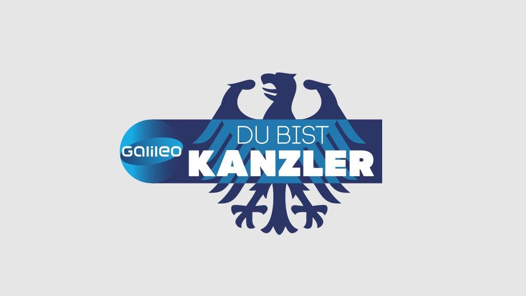 logo du bist kanzler farbig