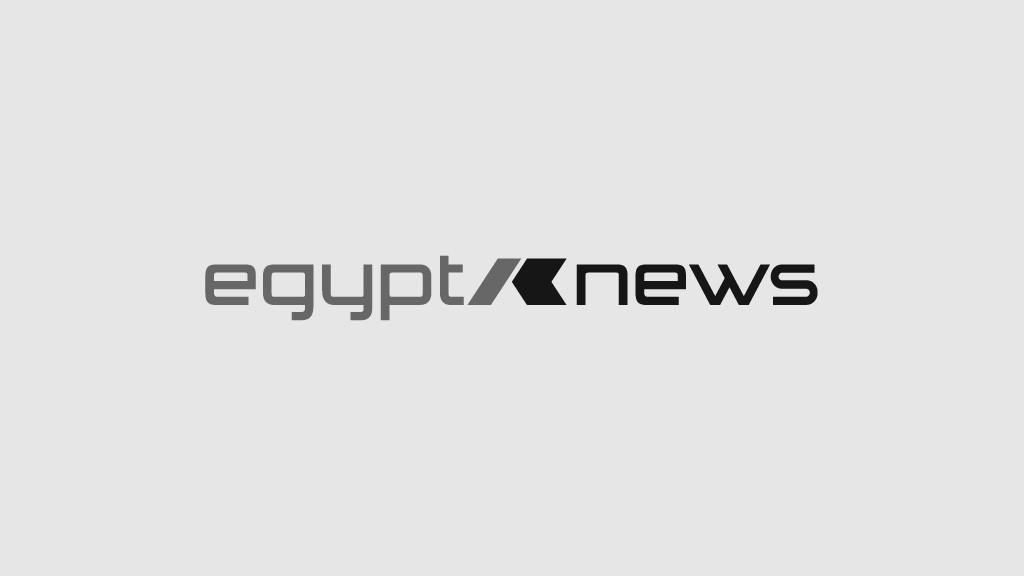 logo egypt news englisch grau