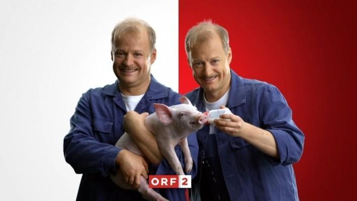 orf2 ident schwein gehabt orf2 ident schwein gehabt