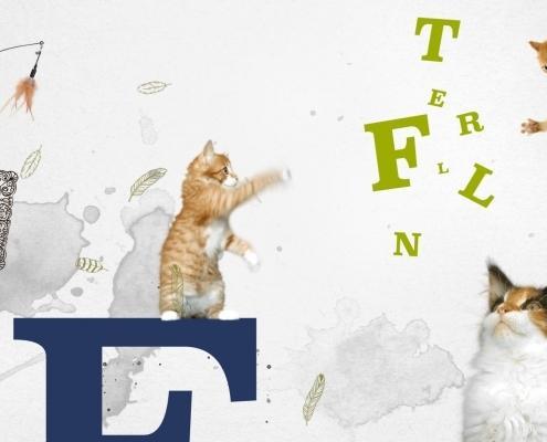 servus tv entenfellners tierwelt opener 03